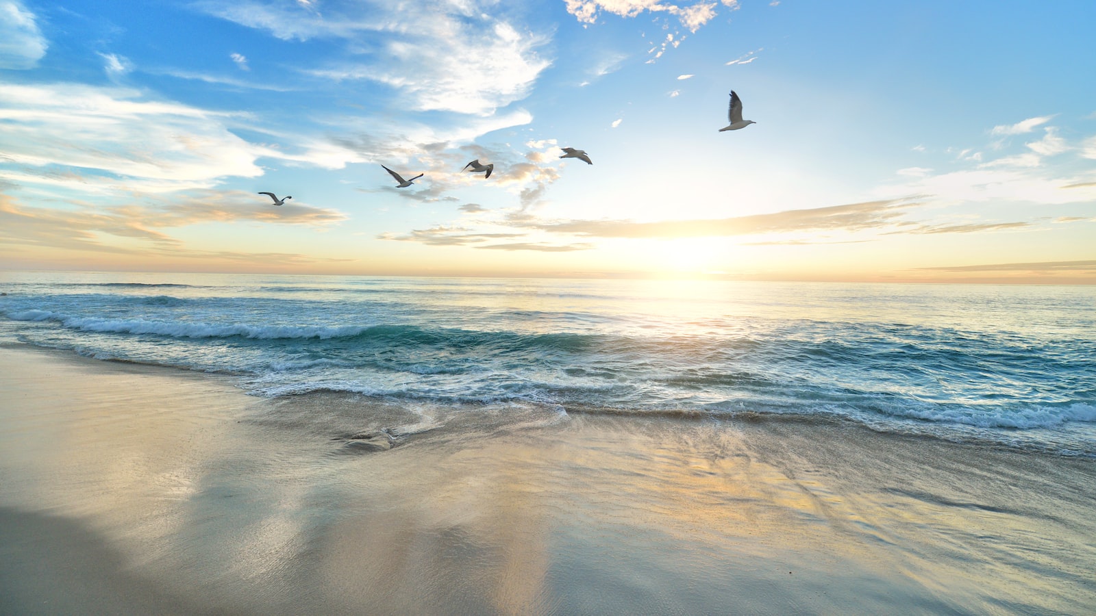 Paradise Unveiled: Discovering the Pristine Beauty of Navagio Beach